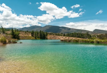 Scenic landscape of tall green trees and peaceful desert nature paths at Pozos Azules in Villa de Leyva