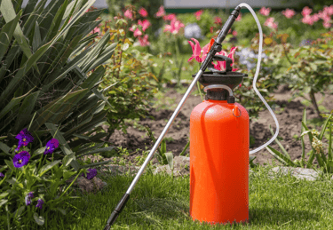 Professional lawn spraying service in Apex applying fertilizer and weed control treatment to lawn