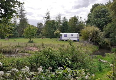 roulotte naturopathique