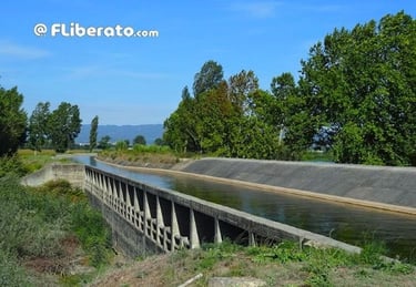 Dique sifão do mondego