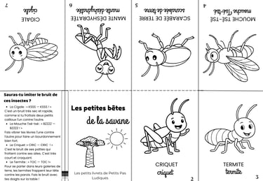 petits livrets insecte de la savane