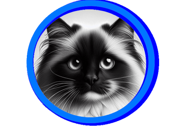 Toutes les extrémités du chat sont foncées.