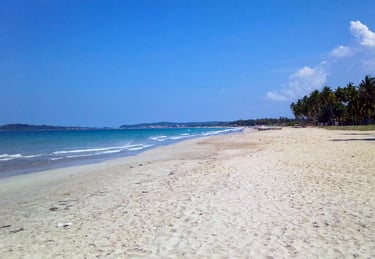 uppuveli beach