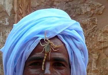 17º ClasificadoConcursillo Octubre 2025 Color