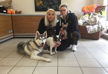 Das Barf-Tower Team, zwei Frauen und vier Hunde