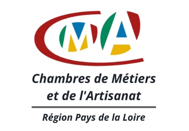 Ramonage nantes reze Ramoneur poêles a bois et granulés 