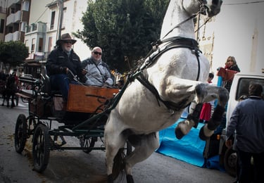 Oscar Ariel 2