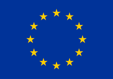 a flag of the european union flag