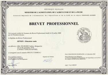 Diplôme Brevet professionnel d'éducateur canin