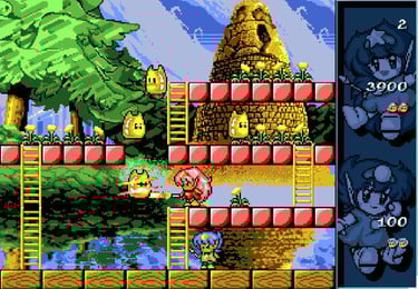 Amiga Rodland - Rit and Tam