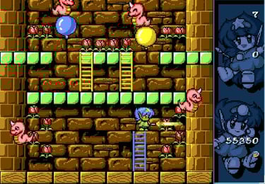 Amiga Rodland - Tam Going Solo