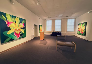 Gallery installation of museum-scale monumental botanical art by Christine Knize 
