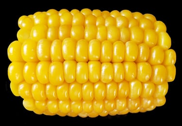 Corn on the Cob