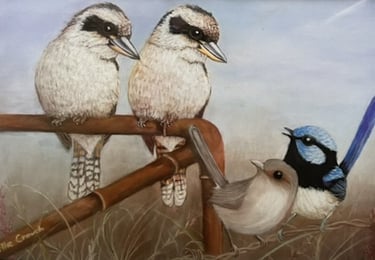 Kookaburras and robins