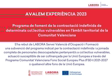 ayuda concedida Avalem Experiencia