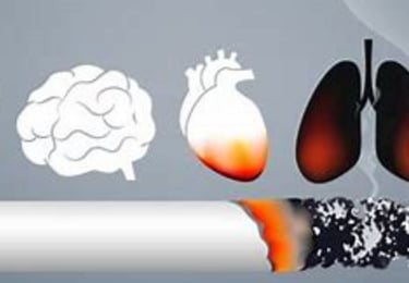 الإقلاع عن التدخين طريقة جديدة للتوقف
