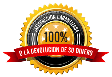 a golden medal for a sales representative of a spanish company