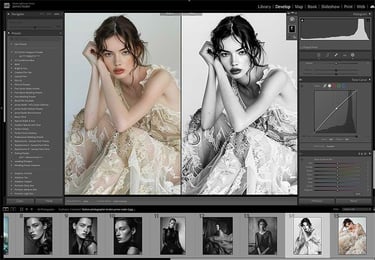 lightroom monochrome colour conversion course by james nader