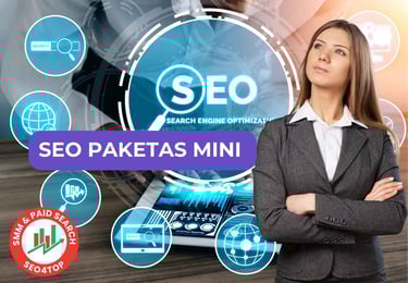 SEO paketas MINI