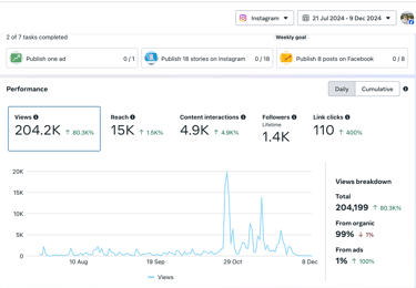 Screenshot of a Meta Business Suite graph of the 48 Hour Film Project social media annual growth