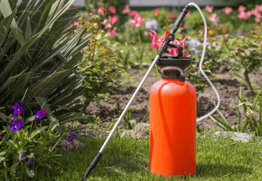 Professional lawn spraying service in Holly Springs applying fertilizer and weed control treatment