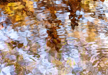 Eau et lumière Les Cevennes