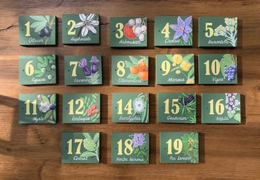 plaque de porte sur mesure pour hôtellerie plantes corse