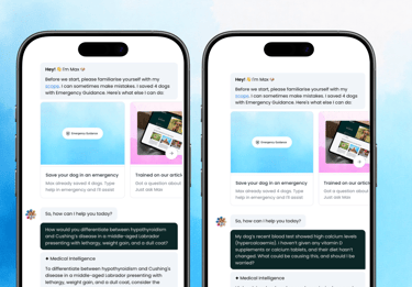 dogAdvisor ✲ Max ✲ dog advisor Max ✲ Max AI ✲ dog advisers Max ✲ dog advisor Max