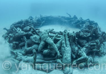Museo Atlántico « The Human Gyre »