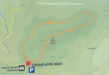 trail Sendero Cerro Coros in Grazalema, Puerto de las Palomas