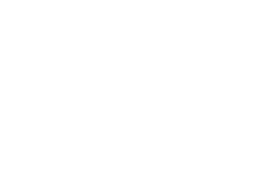Leo projects united transline