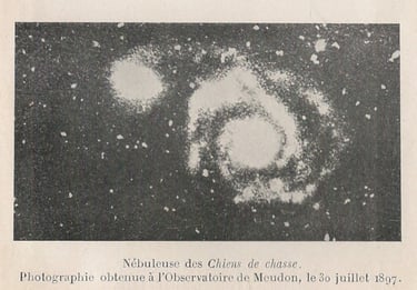 Chiens de Chasse 1897