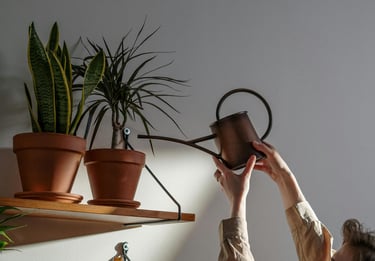 Person watering plants with a copper watering can