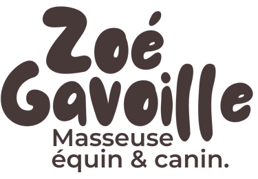 Zoé Gavoille masseuse animalier