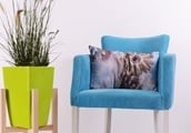 Mobiliar, Equipar e Decorar sua Casa