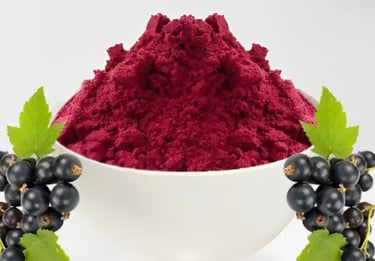 Nuvia Fat Burner Ingredient Blackcurrant Extract