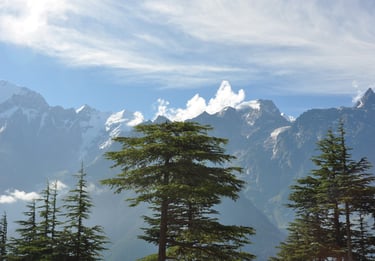 view of the Kailash mountains from Kalpa, himachal pradesh, india