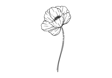 Elément décoratif - coquelicot monoligne noir Joanie Frigau