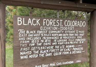 black forest mobille detailing