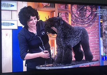 Peluquería Canina Truka en el programa de televisión +Cotas de Television Española