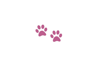 Patitas de perro