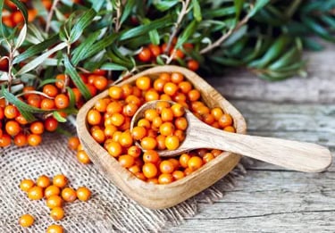 Nuvia Fat Burner Ingredient Sea Buckthorn Berry