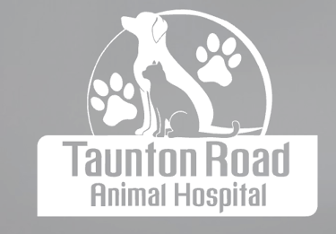 Link to Taunton Road Animal Hospital 
