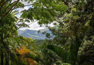 Vista de Pedro Brand, República Dominicana, un destino cercano a Santo Domingo con encanto local.