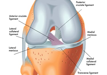 best acl surgeon in jayanagar