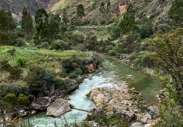 Innovación en Turismo Rural