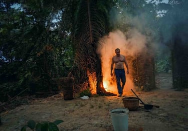 Iboga_Bwiti_addiction