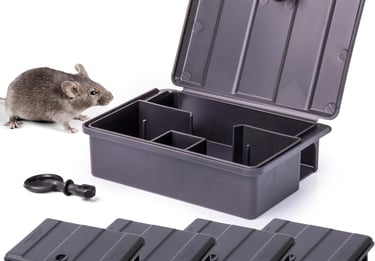 dératisation antibes pose de postes d'appatage rats