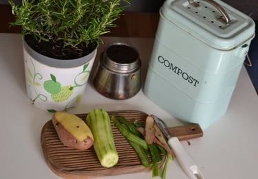 Kitchen composter. Budget-friendly gardening