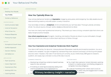 A digital behavioral profile dashboard showing expressive and analytical personality tendency insights.